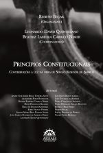 PRINCÍPIOS CONSTITUCIONAIS-0