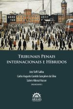 TRIBUNAIS PENAIS INTERNACIONAIS E HÍBRIDOS-0